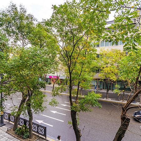 Vip Apartamen Nizami Street Apartment Baku Exterior foto